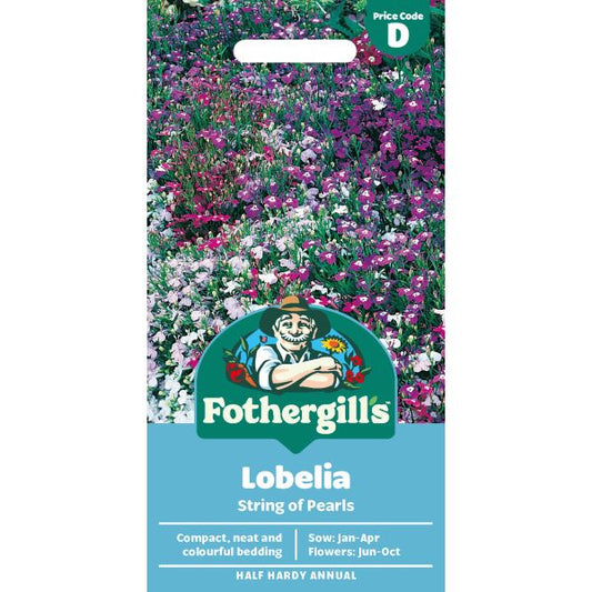 Fothergill's Lobelia String of Pearls Seeds