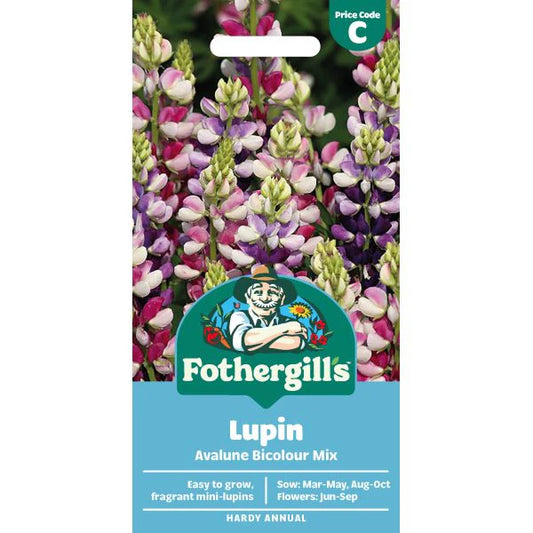 Fothergill's Lupin Avalune Bicolour Mix