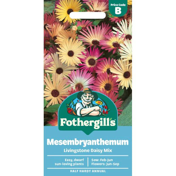 Fothergill's Mesembryanthemum Livingstone Daisy Mixed Seeds