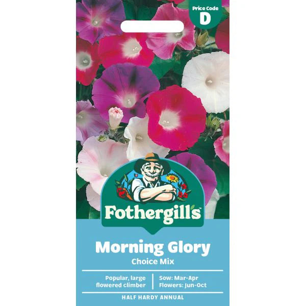 Fothergill's Morning Glory Choice Mixed Seeds