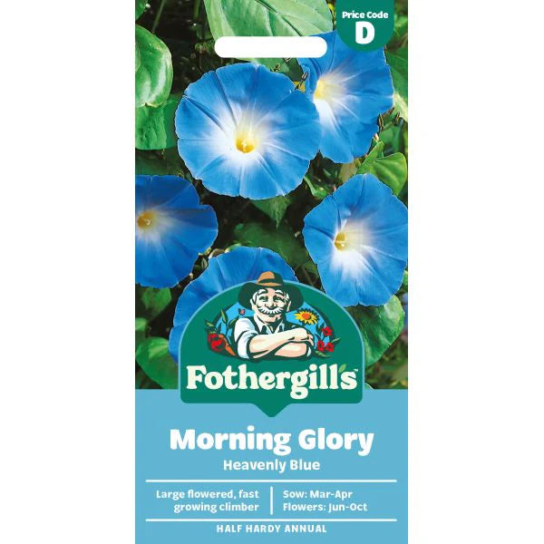 Fothergill's Morning Glory Heavenly Blue Seeds