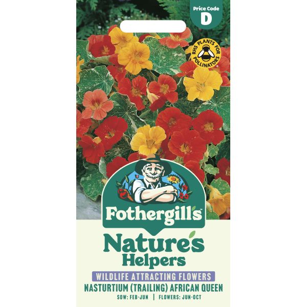 Fothergill's Nasturtium African Queen Seeds