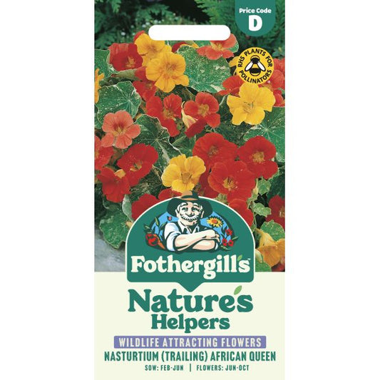 Fothergill's Nasturtium African Queen Seeds