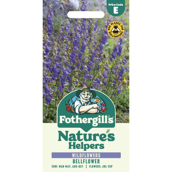 Fothergill's Nature's Helpers Bellflower Wildflower Seeds