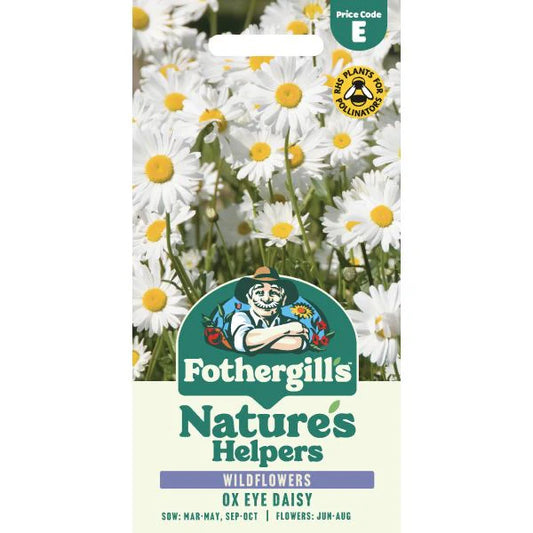 Fothergill's Nature's Helpers Chrysanthemum Ox Eye Daisy Seeds