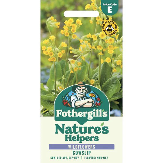 Fothergill's Nature's Helpers Primula Cowslip Seeds