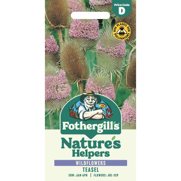 Fothergill's Nature's Helpers Teasel Seeds