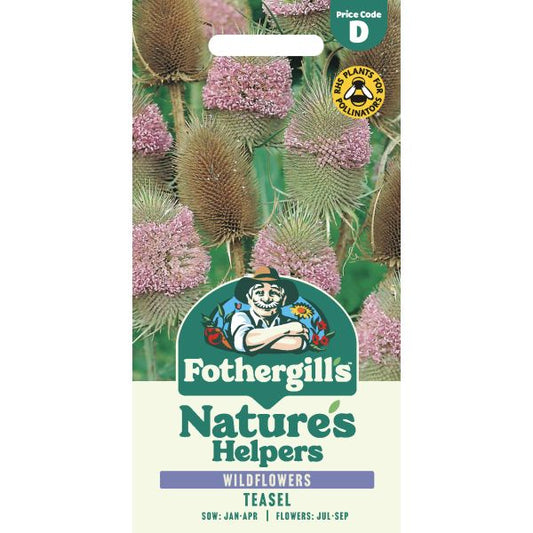 Fothergill's Nature's Helpers Teasel Seeds