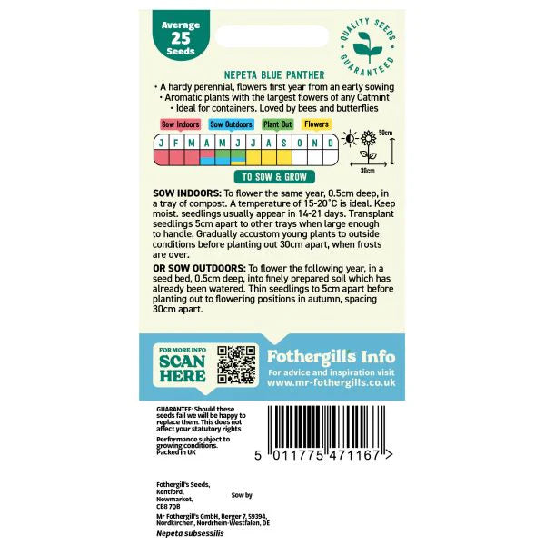 Fothergill's Nepeta Blue Panther Seeds