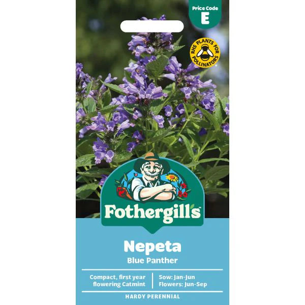 Fothergill's Nepeta Blue Panther Seeds