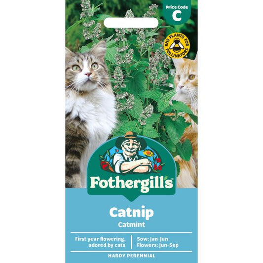 Fothergill's Nepeta Catnip Seeds