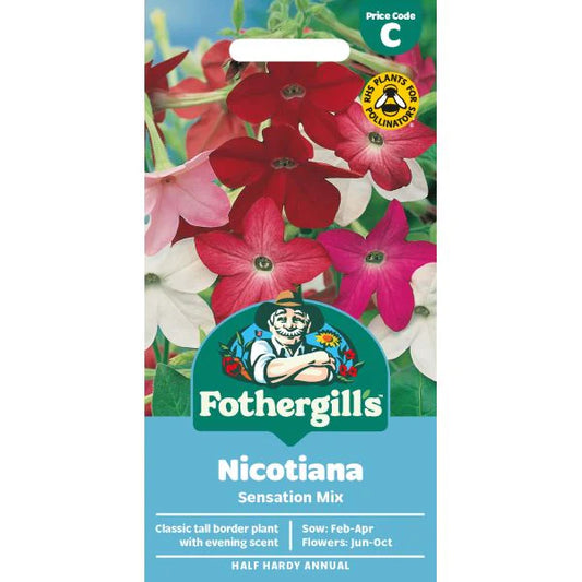 Fothergill's Nicotiana Sensation Mixed Seeds