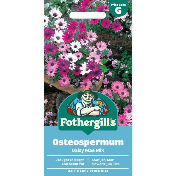 Fothergill's Osteospermum Daisy Mae Mixed Seeds
