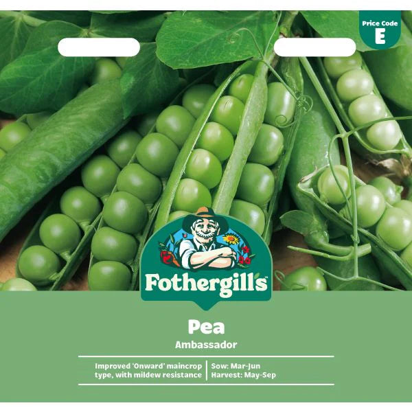 Fothergill's Pea Ambassador Seeds