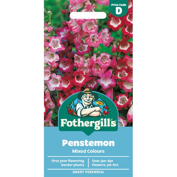 Fothergill's Penstemon Mixed Colours Seeds