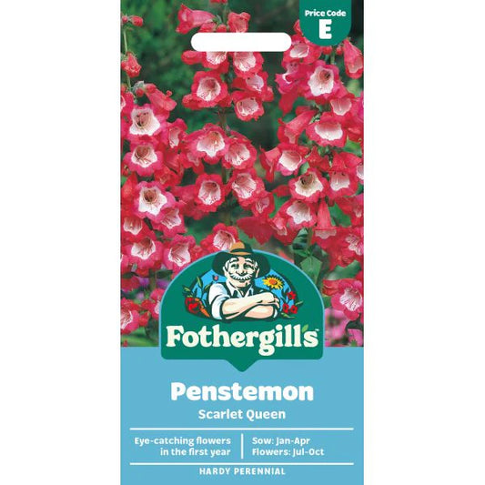 Fothergill's Penstemon Scarlet Queen Seeds