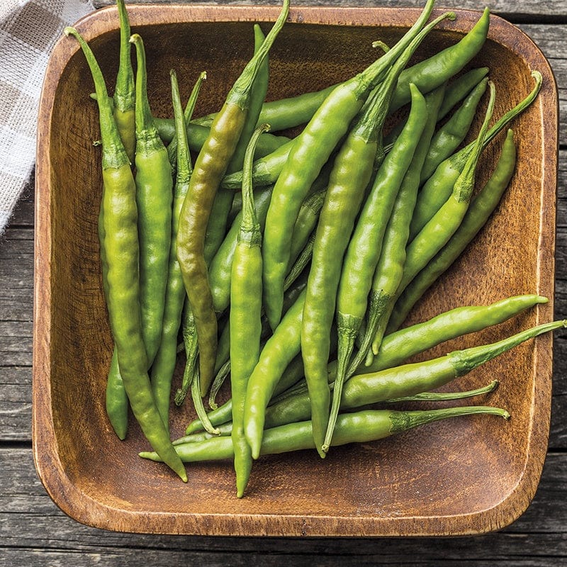 Fothergill's Pepper Hot Curry Pepper F1 Seeds