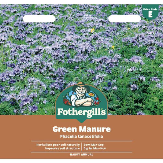 Fothergill's Phacelia Green Manure Tanacetifolia Seeds