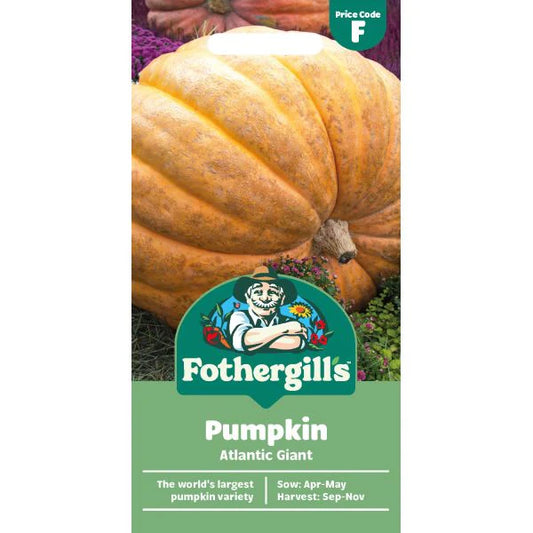 Fothergill's Pumpkin Atlantic Giant Seeds