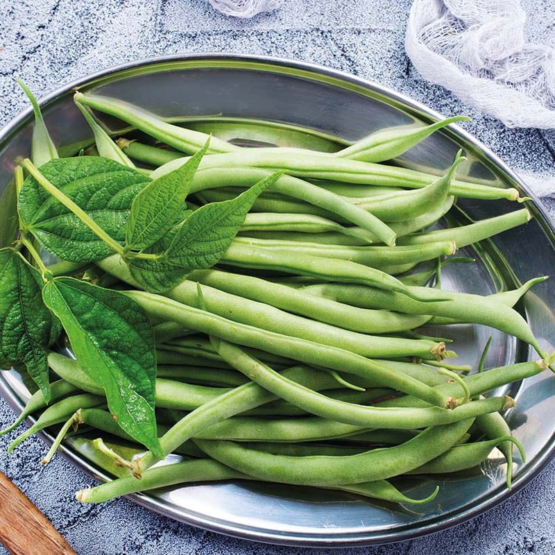 Fothergill's RHS Dwarf French Bean Elba Vegetable Seeds