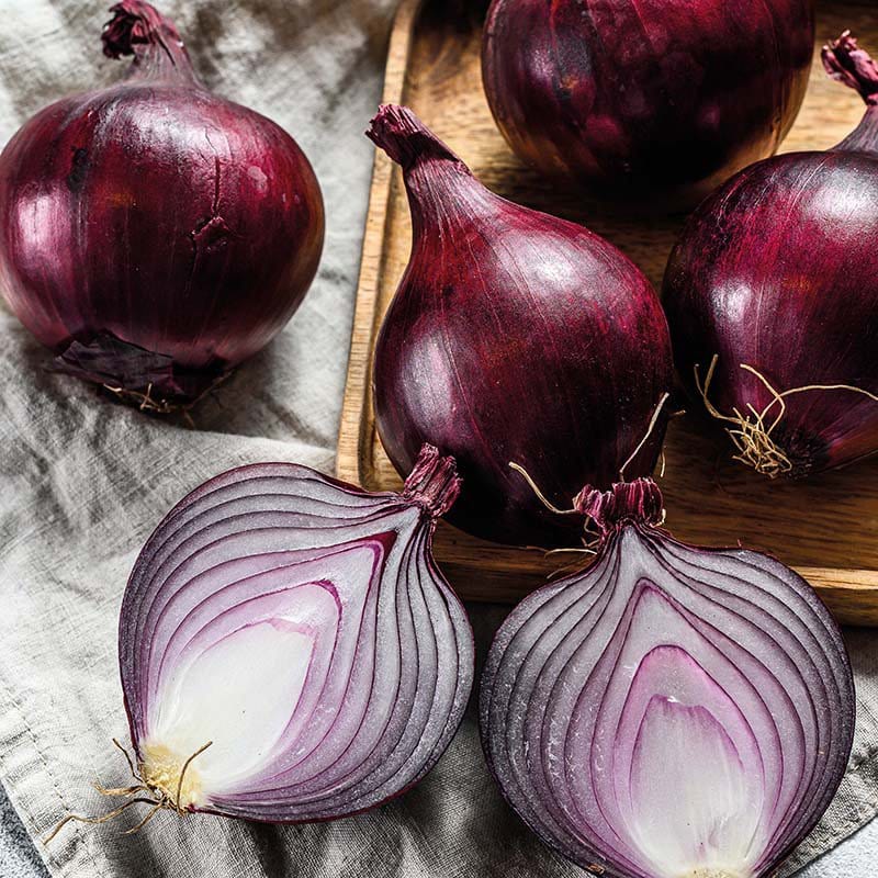 Fothergill's RHS Onion Globe Redspark F1 Seeds