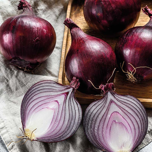 Fothergill's RHS Onion Globe Redspark F1 Seeds