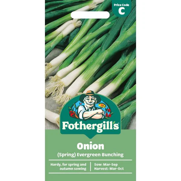 Fothergill's Spring Onion Evergreen Bunching Seeds