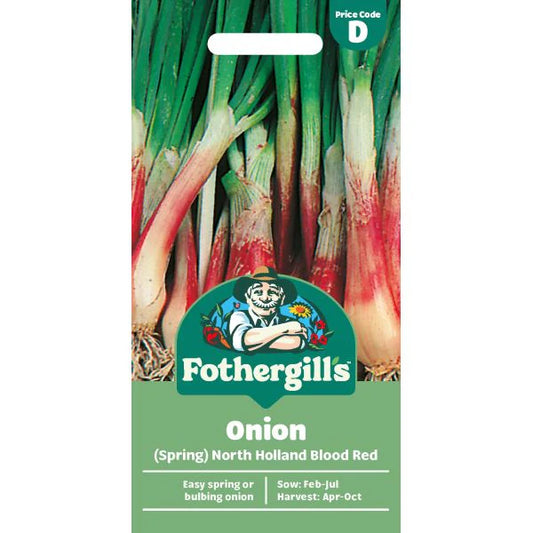 Fothergill's Spring Onion North Holland Blood Red Seeds