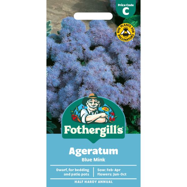 Fothergills Ageratum Blue Mink Seeds