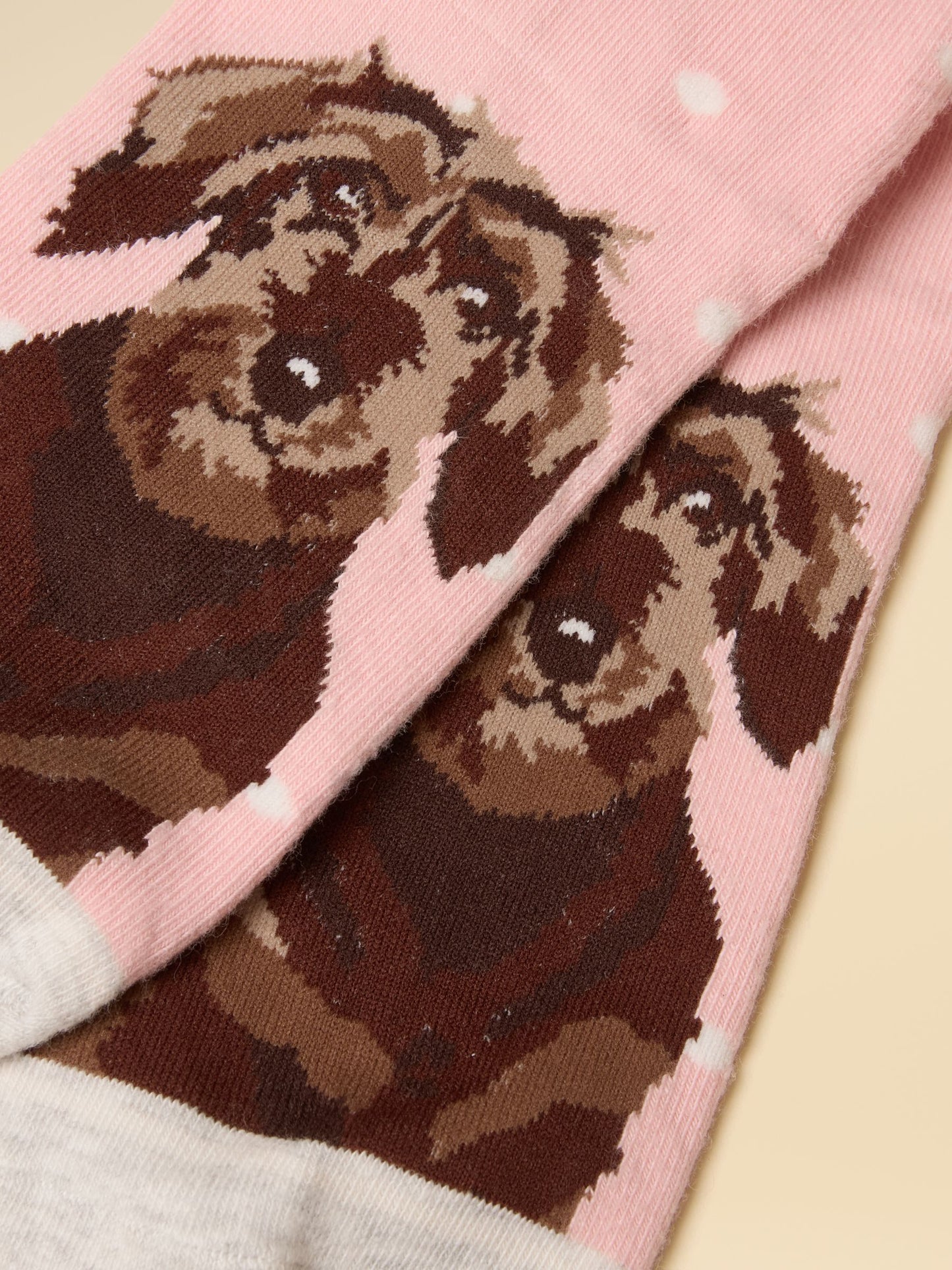 Joules Everyday Women's 2 Pack Socks