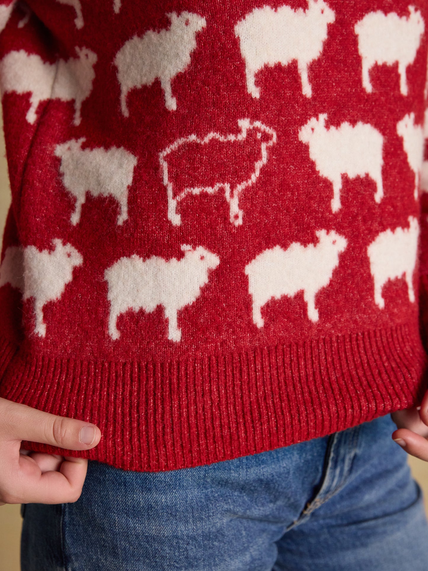 Joules 'What The Flock' Knitted Jumper