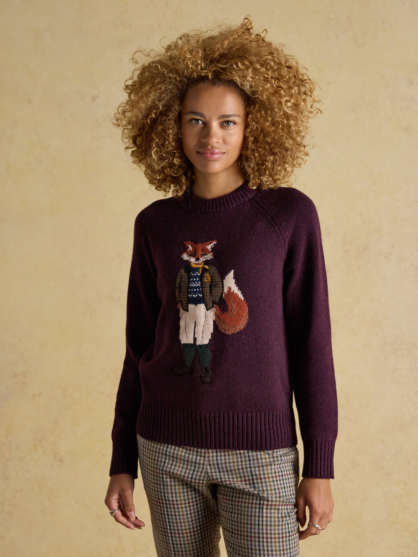Joules Jonty Crew Neck Intarsia Jumper