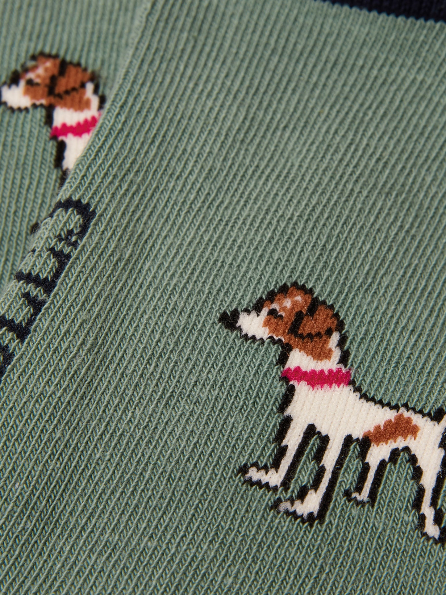 Joules Everyday Women's 2 Pack Socks