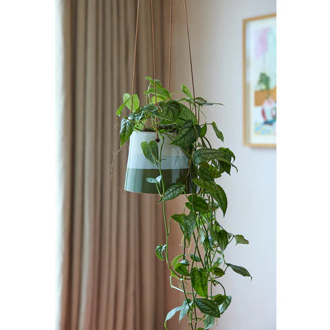 Burgon and Ball Collectors Hanging Pot Blue/Green 12.5cm