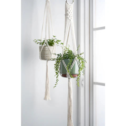 Burgon and Ball Macrame Hanger - Woodstock