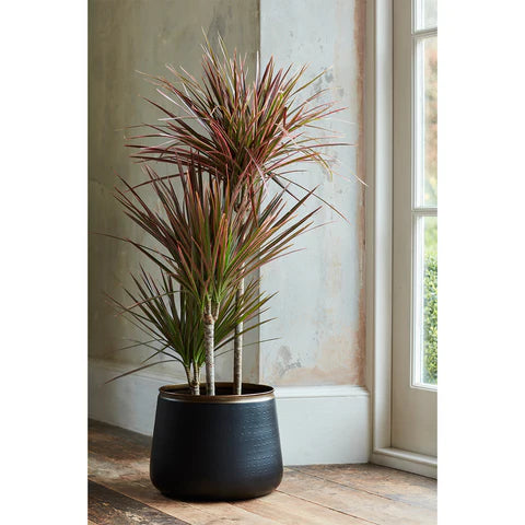 Burgon and Ball Sahara Sunset Medium Floor Pot