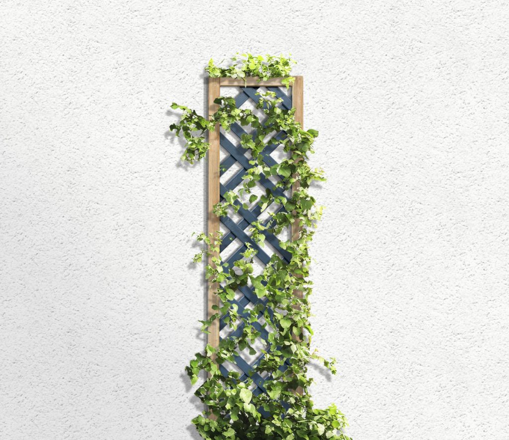 Forest Garden Grey Painted Lattice