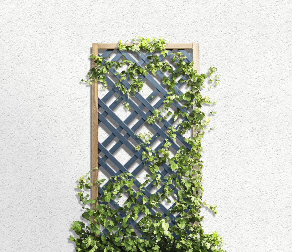 Forest Garden Grey Painted Lattice