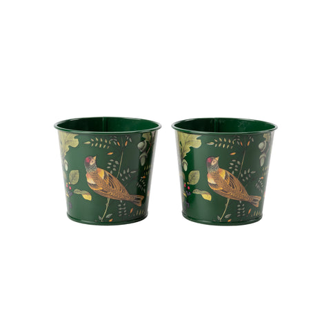 Burgon & Ball Woodland Wonders Herb Pots