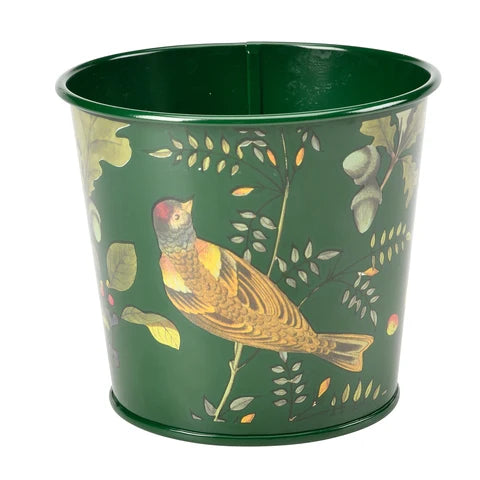 Burgon & Ball Woodland Wonders Herb Pots