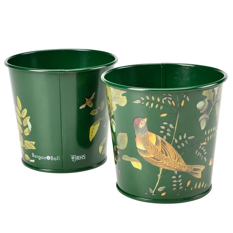 Burgon & Ball Woodland Wonders Herb Pots