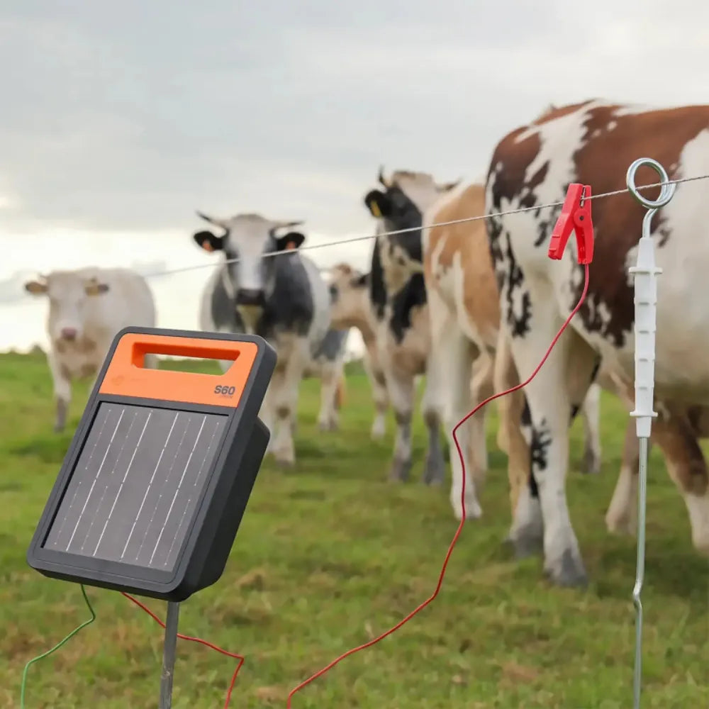 Gallagher S60li Energiser Solar