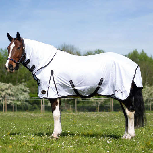 Gallop Classic Combo White Fly Rug