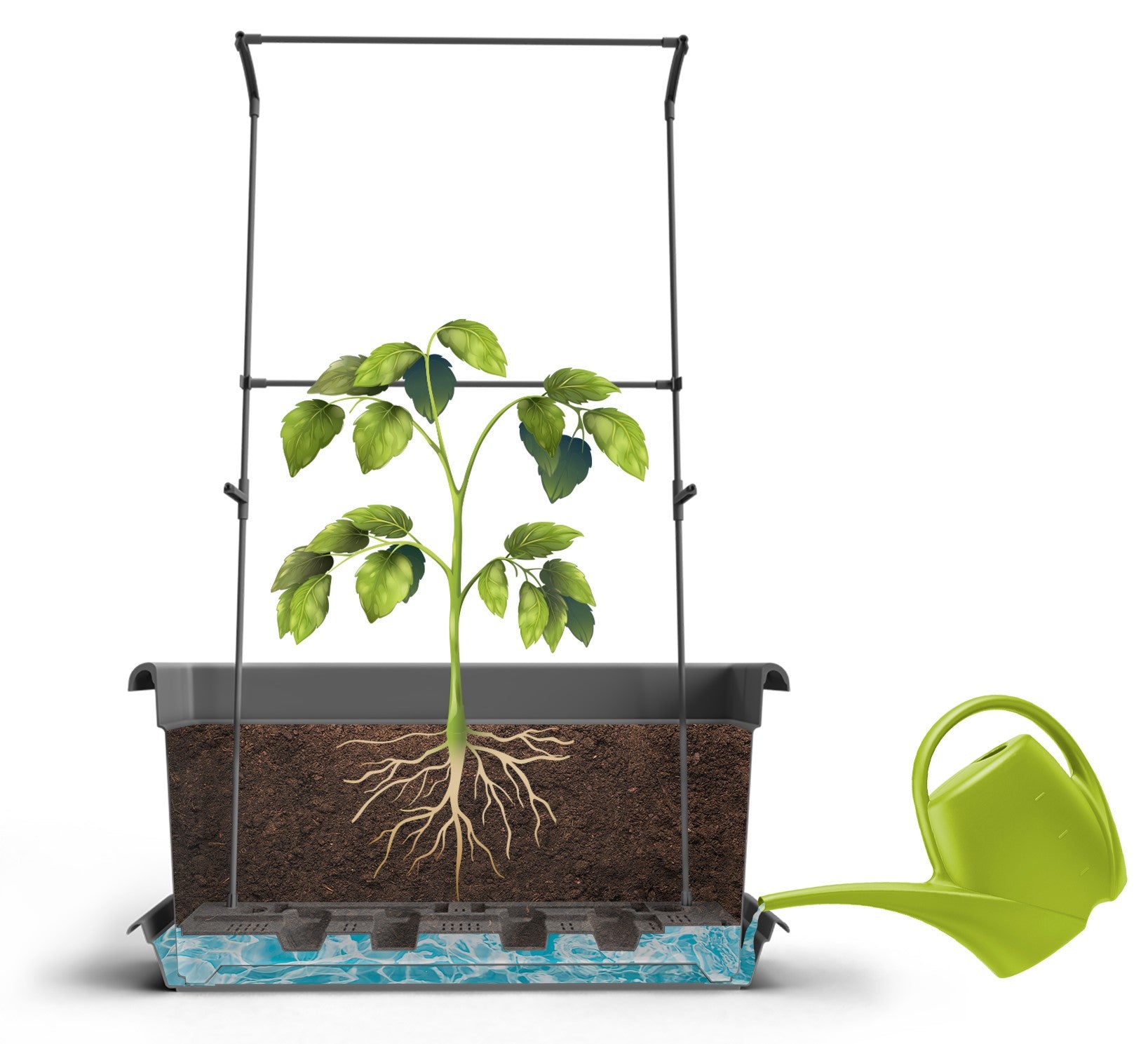 Gardenico Mobile Living Wall Kit/Pot & Trellis