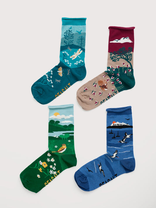 Seasalt Gift Box of 4 Women's Scenic Arty Socks