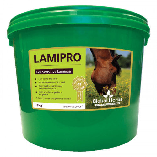 Global Herbs LamiPro Horse Supplement