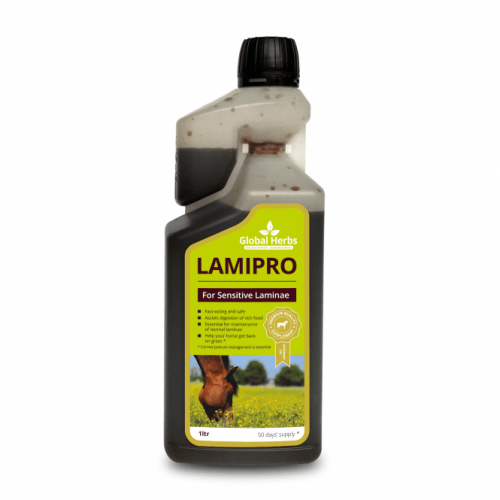 Global Herbs LamiPro Liquid Horse Supplement