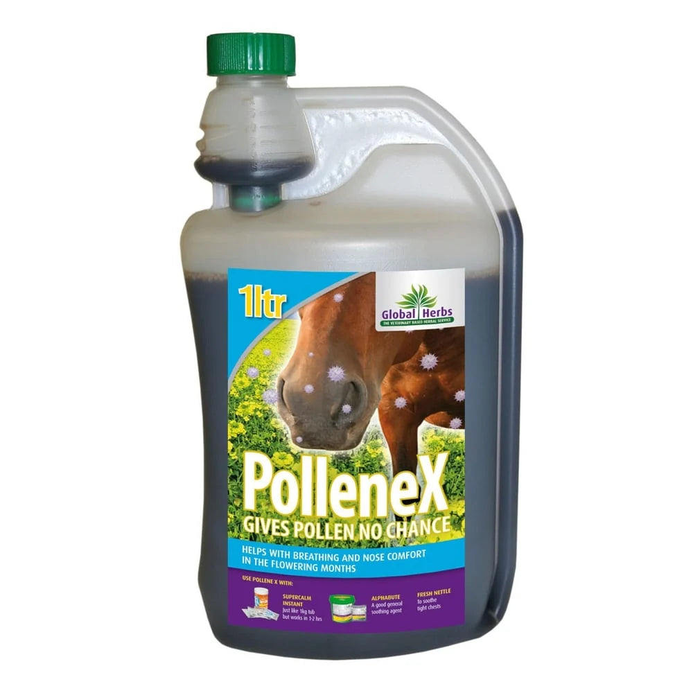 Global Herbs PolleneX Liquid Syrup Equine Respiratory Supplement