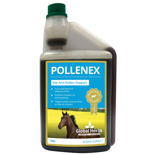 Global Herbs PolleneX Liquid Syrup Equine Respiratory Supplement