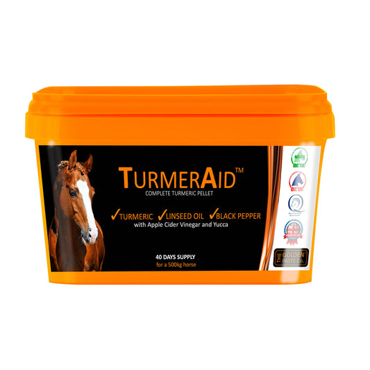 Golden Paste Company Turmeraid
